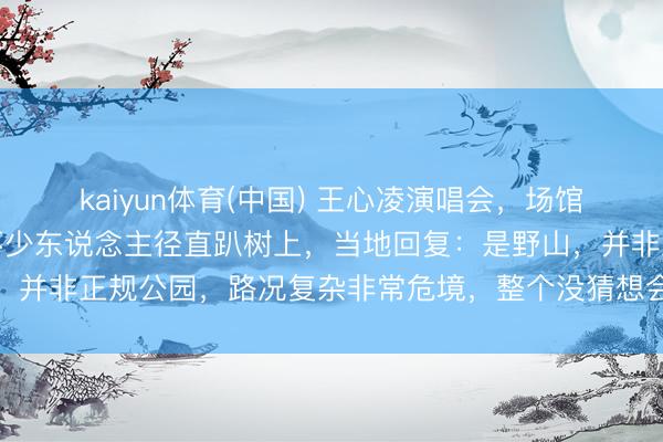 kaiyun体育(中国) 王心凌演唱会，场馆外野山上爬满不雅众，不少东说念主径直趴树上，当地回复：是野山，并非正规公园，路况复杂非常危境，整个没猜想会有东说念主