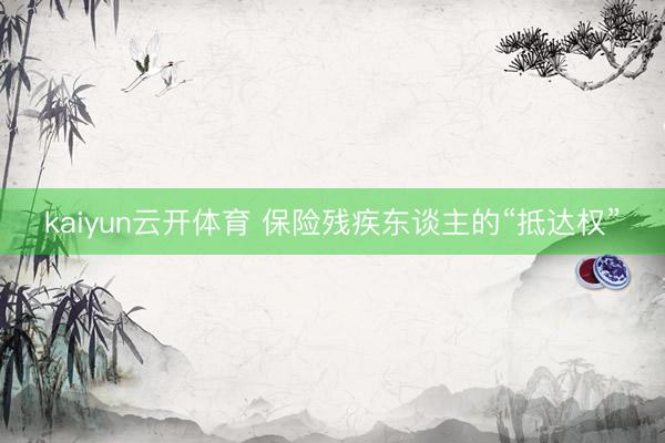 kaiyun云开体育 保险残疾东谈主的“抵达权”