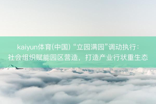 kaiyun体育(中国) “立园满园”调动执行：社会组织赋能园区营造，打造产业行状重生态
