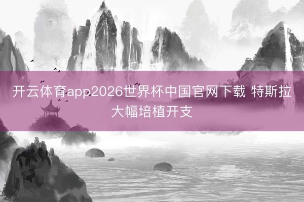 开云体育app2026世界杯中国官网下载 特斯拉大幅培植开支