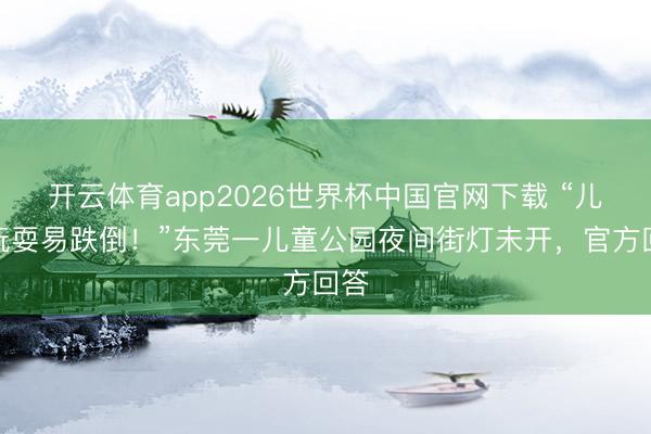 开云体育app2026世界杯中国官网下载 “儿童玩耍易跌倒!”东莞一儿童公园夜间街灯未开,官方回答