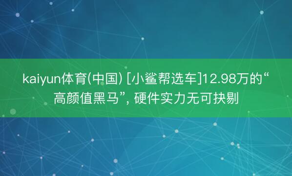 kaiyun体育(中国) [小鲨帮选车]12.98万的“高颜值黑马”， 硬件实力无可抉剔